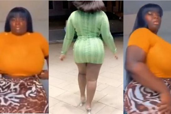 Maame Serwaa flaunts her assets amid surgery rumours
