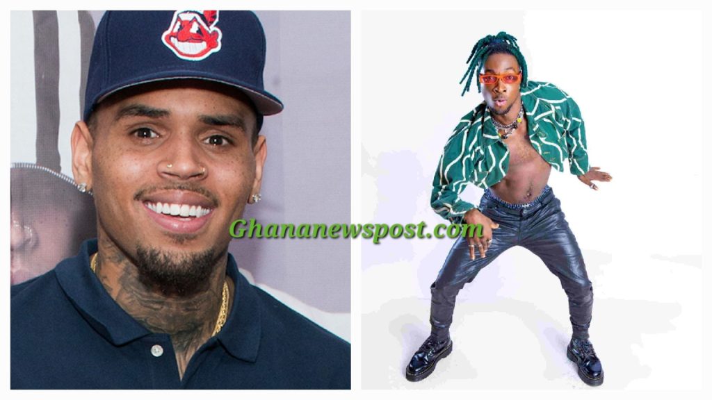 Chris Brown and Incredible Zigi
