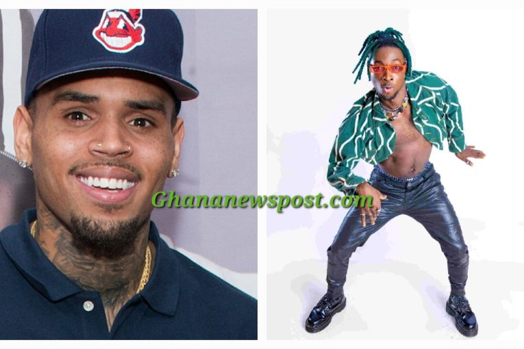 Chris Brown and Incredible Zigi